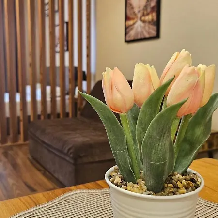 7 And 2 Quietly And Peaceful Place To Relax Апартаменты Созополь