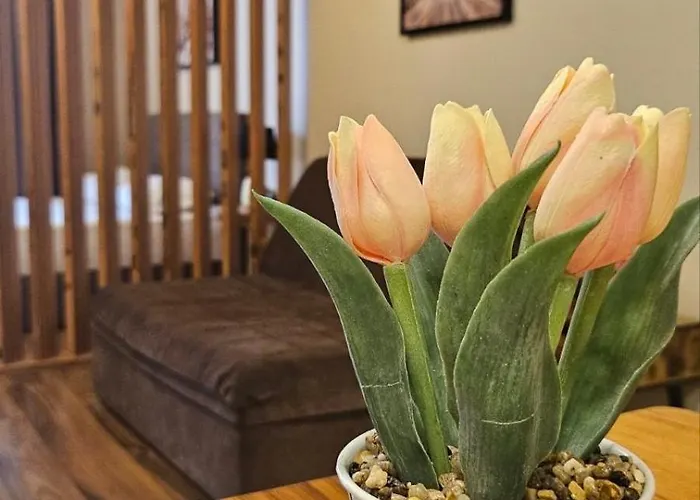 7 And 2 Quietly And Peaceful Place To Relax شقة سوزوبول